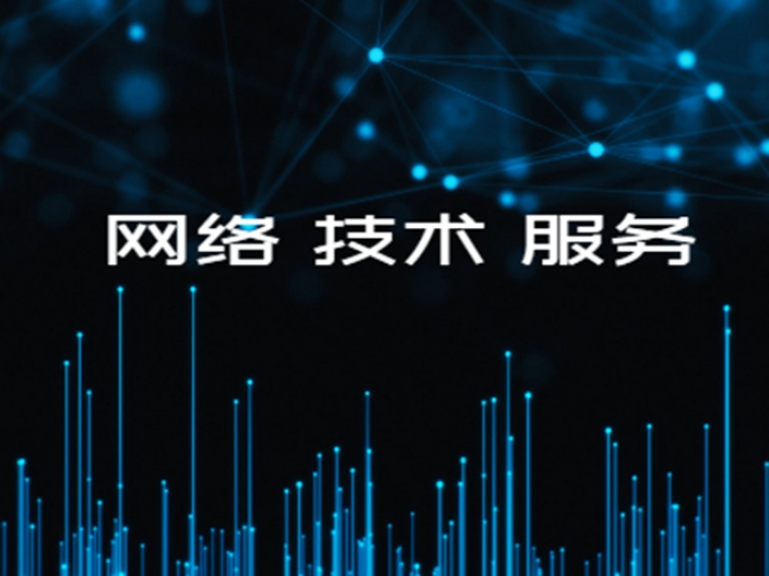网络技术与网络技术服务 从基础架构到价值交付